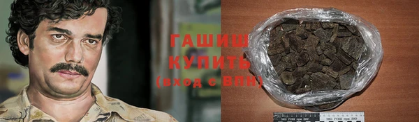 индика Рославль