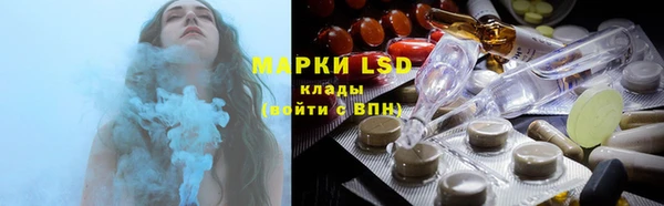 индика Рославль
