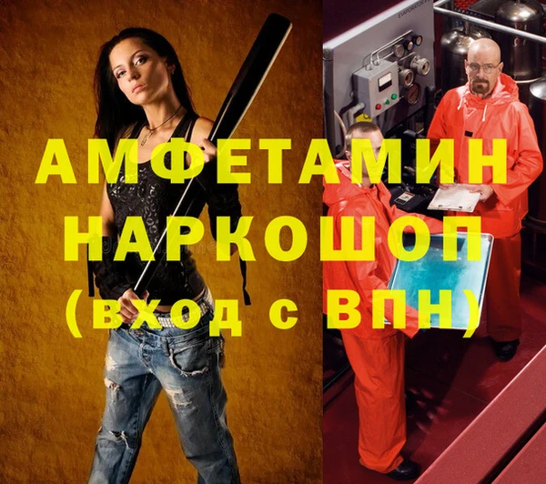 индика Рославль