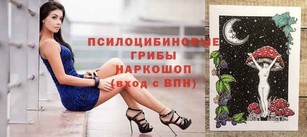 МДПВ Абинск