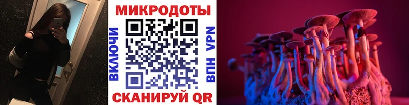дарнет шоп  Дмитровск  Псилоцибиновые грибы Cubensis 